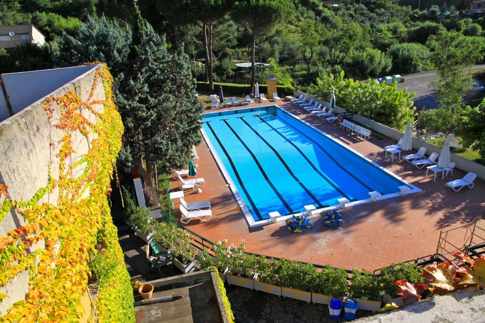 Vista dall'alto della piscina scoperta, con corsie e lettini immersi nel verde del Circolo